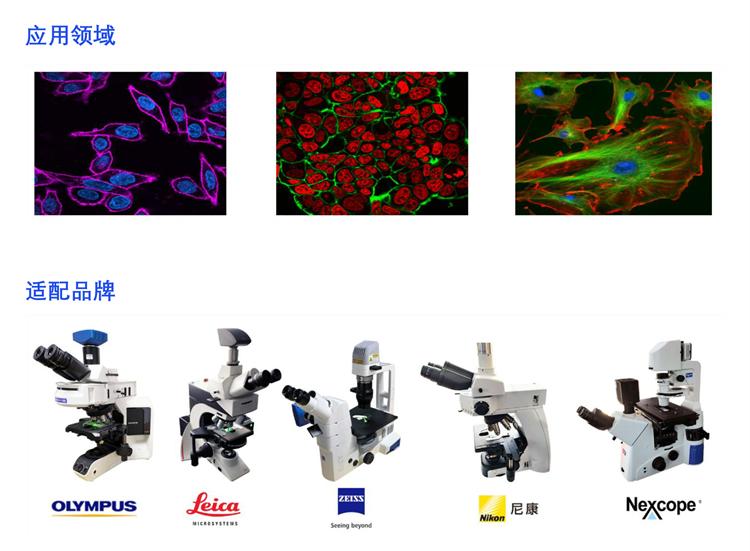 明慧三波段LED光源MH-300-LEDS适配显微镜和实拍效果图
