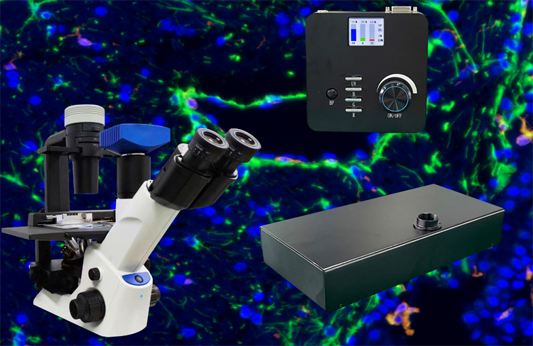 五孔电动倒置LED荧光附件BGU-LED-DIMH，广州市明慧科技有限公司